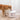 Automatic Pet Water Dispenser - Smart Irrigation System for Pets - DecorOfficial