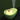 Avocado Humidifier Night Lamp - Cute Aroma Diffuser - DecorOfficial
