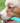 Pet Finger Toothbrush - Dog Cat Dental Care Tool - DecorOfficial