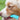 Pet Finger Toothbrush - Dog Cat Dental Care Tool - DecorOfficial