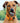 Rubber Smiley Dog Chew Toys - Funny Pet Chew Toys - DecorOfficial