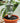 Automatic Plant Watering Dripper Bag - Efficient Garden Irrigation System - DecorOfficial