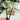 Eco-Friendly Coffee Spoon - Sustainable Long Handle Kitchen Utensil - DecorOfficial