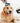 Pet Hair Trimming Comb - Dog Cat Grooming Tool - DecorOfficial
