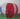 Large Bubble Balloon - Fun Outdoor Play Toy - DecorOfficial