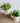 Artificial Flowers in Ceramic Vase - Decorative Home Accent - DecorOfficial