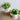 Artificial Flowers in Ceramic Vase - Decorative Home Accent - DecorOfficial