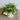 Artificial Flowers in Ceramic Vase - Decorative Home Accent - DecorOfficial