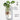 Hexagonal Clear Terrarium Vase - Handmade Wall Decor - DecorOfficial