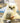 Cute Owl Decor - Adorable Home Accent Accent - DecorOfficial