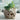 Hand Carved Skull Planter - Unique Decorative Flower Pot - DecorOfficial