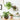 Wall Hanging Plant Pots - Set of 2 Decorative Planters - DecorOfficial