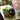 Decorative Flower Pot - Charming Indoor Planter - DecorOfficial