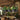 Modern Plant Chandelier Lamp - Creative Indoor Lighting - DecorOfficial