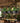 Modern Plant Chandelier Lamp - Creative Indoor Lighting - DecorOfficial