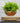 Levitating Air Plant Display - Indoor Garden Décor - DecorOfficial