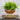 Levitating Air Plant Display - Indoor Garden Décor - DecorOfficial