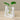 Wooden Vase with Tray - Decorative Home Accent for Modern Decor - DecorOfficial