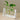 Wooden Vase with Tray - Decorative Home Accent for Modern Decor - DecorOfficial