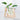 Wooden Vase with Tray - Decorative Home Accent for Modern Decor - DecorOfficial