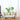 Transparent Wooden Vase - Creative Home Décor - DecorOfficial