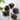 Japanese Toad Tea Pet Set - Creative Ceramics for Tea Enthusiasts - DecorOfficial