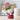 Flowerpot Vase - Cute Home Decor for Girls - DecorOfficial