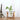 Transparent Wooden Vase - Creative Home Décor - DecorOfficial