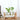 Transparent Wooden Vase - Creative Home Décor - DecorOfficial