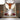 Iron and Wood Bull LED Light - Rustic Decorative Lamp - DecorOfficial