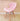 Modern Simple Colorful Home Chair - DecorOfficial