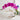 Artificial Butterfly Orchid Flower Set - Decorative Silk Plants - DecorOfficial