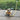 Chill Dog Decor - Fun Pet Decoration - DecorOfficial