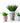 Geometric Face Vase - Modern Nordic Decor نباتات - DecorOfficial