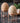 Elegant Metal Egg Holder Set - 3 Pieces - DecorOfficial