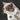 Cat Sunglasses - Stylish Cool Glasses for Pets - DecorOfficial