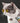 Cat Sunglasses - Stylish Cool Glasses for Pets - DecorOfficial