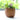Mini Retro Flower Pots - Decorative Column Planters - DecorOfficial