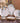 Rainforest Animal Bone China Tableware Set - Eco-Friendly Dishware - DecorOfficial