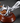 Squirrel Nutcracker - Easy Fast Nut Cracking Tool - DecorOfficial