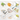 Multifunctional Kitchen Scissors - 10-in-1 Utility Tool - DecorOfficial