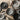 Retro Japanese Ceramic Dinnerware Set - Gray Porcelain Plates and Bowls - DecorOfficial