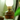 Retro Kerosene Table Lamp - Vintage Style Lighting - DecorOfficial