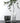 Ribbed Elegance Vase - Stylish Decorative Centerpiece - DecorOfficial
