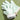Silicone Oven Mitts - Anti-Scald Insulated Baking Gloves - DecorOfficial