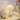 Simple Petal Table Lamp - Modern Floral Lighting - DecorOfficial