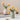 Simple Striped Ceramic Vase - DecorOfficial
