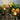 Solar Flower Garden Light - Decorative Outdoor Accent - DecorOfficial