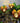 Solar Flower Garden Light - Decorative Outdoor Accent - DecorOfficial