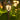 Solar Garden Lights - Decorative Outdoor Lighting - DecorOfficial
